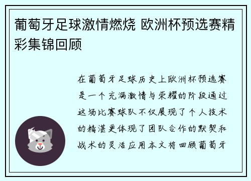 葡萄牙足球激情燃烧 欧洲杯预选赛精彩集锦回顾